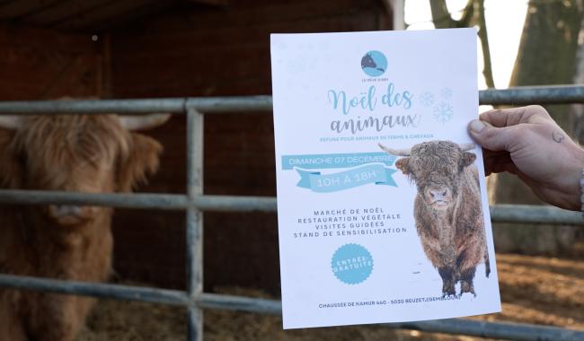 8ème édition du "Noël des Animaux" au Rêve d'Aby, ce dimanche 7 décembre