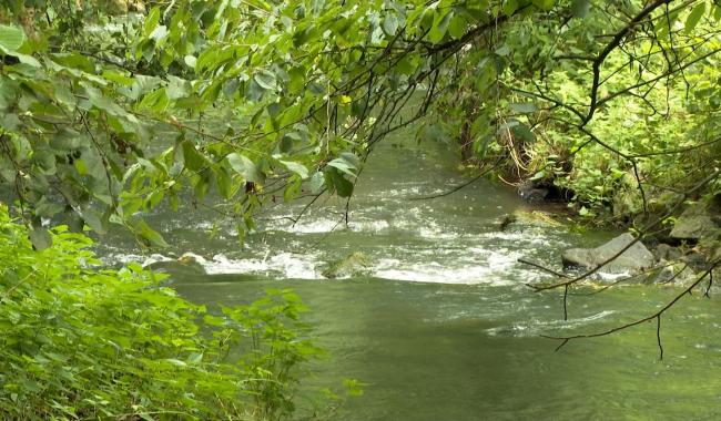 Dyle-Gette : le Contrat de rivière prolongé pour trois ans