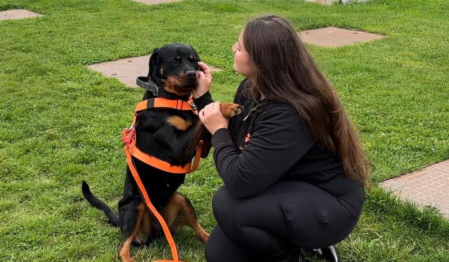 Sans Collier : une guinguette pour mieux comprendre les besoins des chiens