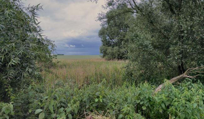 "Aux Sources de la Jette" : un projet de réserve naturelle à cheval sur Gembloux et Perwez