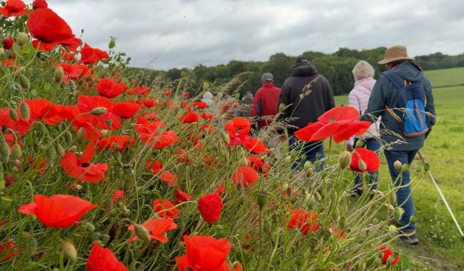 Marche à pied : le Royal Club Spartiates Gembloux fête ses 50 ans