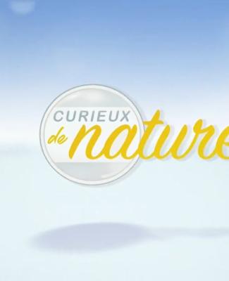 Curieux de nature - Les poissons de nos rivières