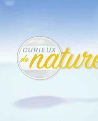 Curieux de nature - 24/04/2024