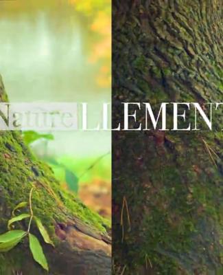 Naturellement - 22/04/2024