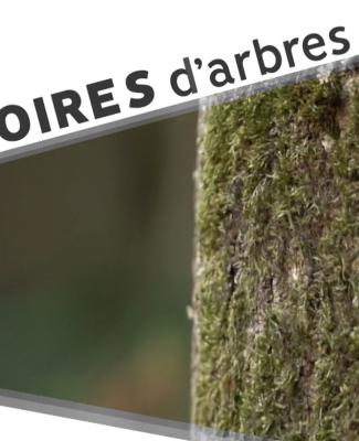 Histoires d'arbres