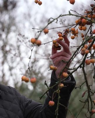 Momentum - Alain Peeters, fondateur de "Terres vivantes"