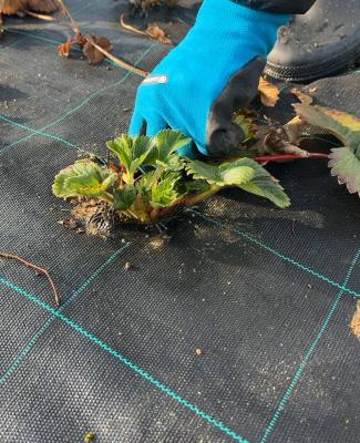 Le JT - Jeudi 12 mars 2026