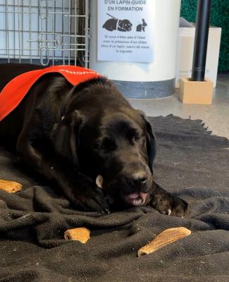 Le JT - Mercredi 18 mars 2026