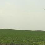 Le projet d'éoliennes d'Aspiravi à Orbais et Tourinnes rejeté, à nouveau à l'enquête publique