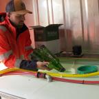 300 fûts, des tournées 24h/24...dans les coulisses des JIVs