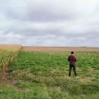 Walhain : vers un bassin de rétention aux Deux Hurées
