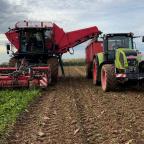 Agriculture : une saison encourageante pour la récolte des betteraves