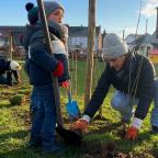 Une haie fleurie plantée à l'école de Perbais