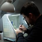 Portrait - Robin Burny imprime tout un monde en 3D à Walhain : "J'ai toujours aimé créer des univers"