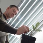 Gembloux Agro Bio-Tech teste des huiles essentielles pour favoriser la croissance des sapins de Noël