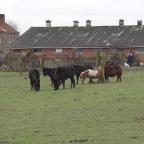 La comtesse du Monceau renvoyée devant le tribunal correctionnel pour maltraitance animale