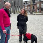 À Gembloux, Otis se prépare à devenir chien guide