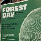 Le "Forest Day" : repenser le bois sous toutes ses dimensions