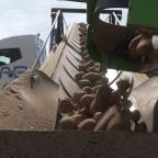 Le secteur belge de la pomme de terre industrielle en crise