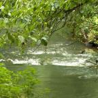 Dyle-Gette : le Contrat de rivière prolongé pour trois ans