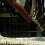 Pesticide Calentha : "prometteur, mais les risques doivent être considérés"