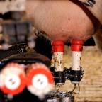 Campagne GAIA "Pas ton lait" : la FWA dénonce un agribashing