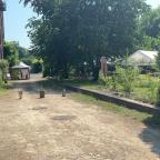 Nil-Saint-Vincent : une journée "jardins ouverts" au Moulin Josefa