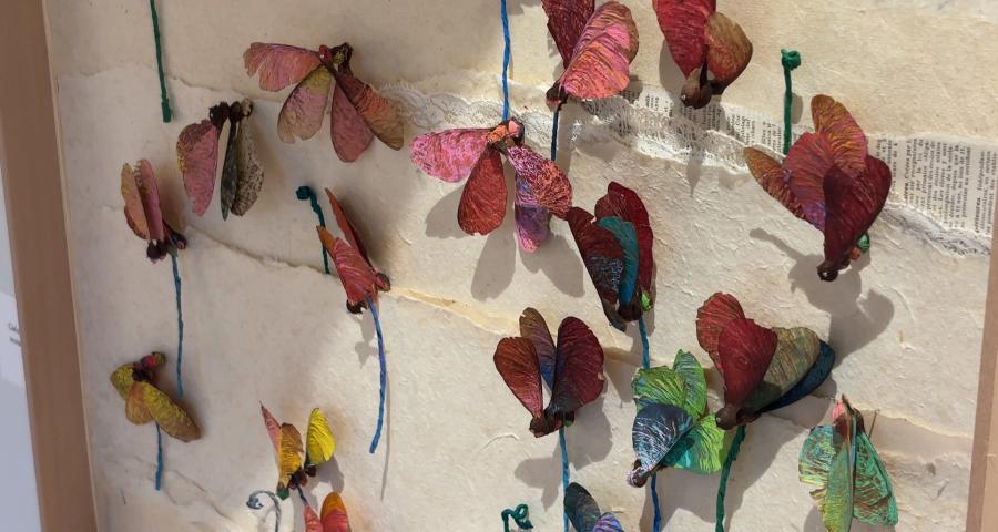 Une exposition pour sensibiliser à notre lien avec la nature à Gembloux