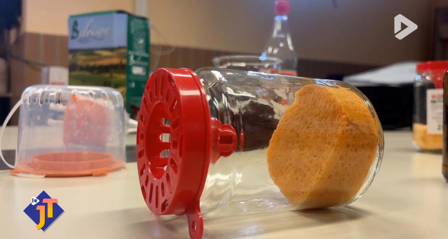 Le JT - Vendredi 6 mars 2026