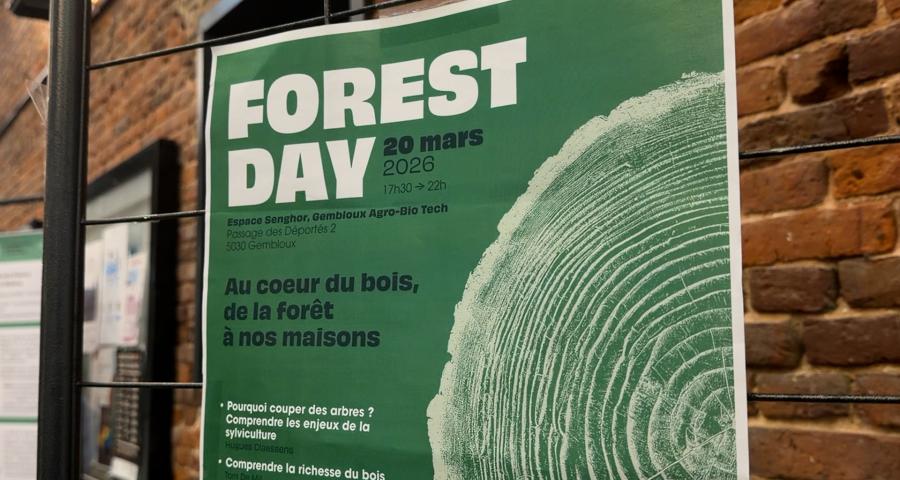 Le "Forest Day" : repenser le bois sous toutes ses dimensions