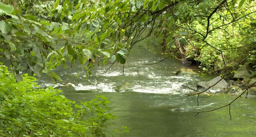 Dyle-Gette : le Contrat de rivière prolongé pour trois ans