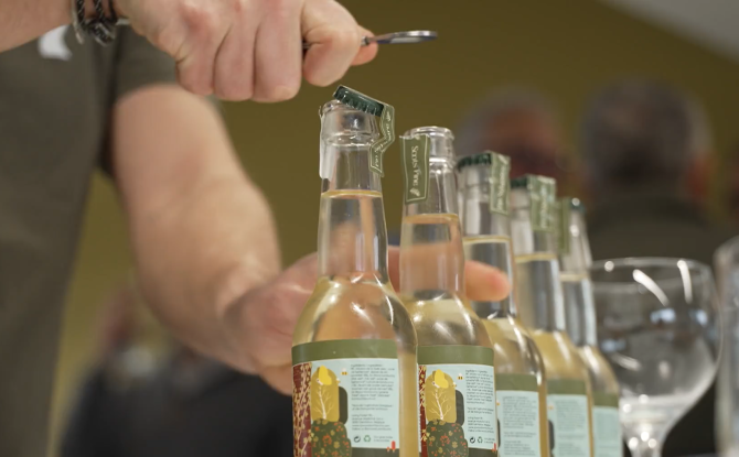 Du kombucha "made in" Gembloux