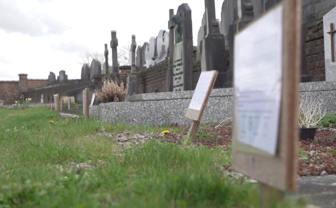 Le renouvellement des concessions, enjeu de modernisation des cimetières