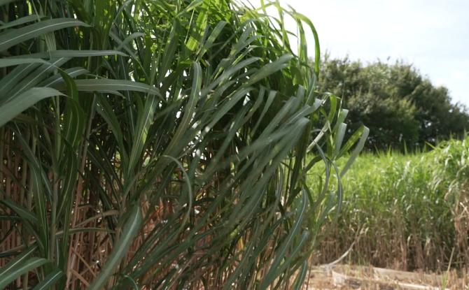 Perwez : des primes anti-inondations pour les agriculteurs