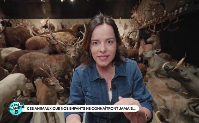 Y'a pas de planète B - Ces animaux que nos enfants ne connaitront jamais