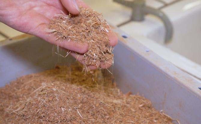 Les écorces de bois : une alternative prometteuse aux pesticides