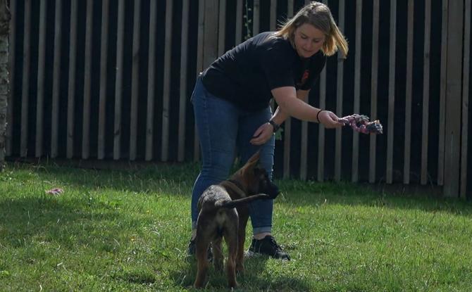 Sans Collier face à l’afflux d’animaux en été