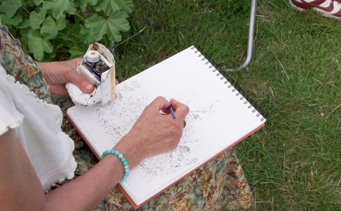 Fruit de ma passion : l'encre, la plume et les croquis de Véronique