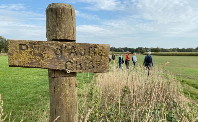 Le Pré d'Auffe, repaire pour oiseaux et future zone d'immersion temporaire