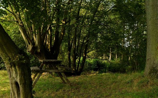 Jugé dangereux, le bois du Castillon est fermé aux promeneurs pendant 5 mois