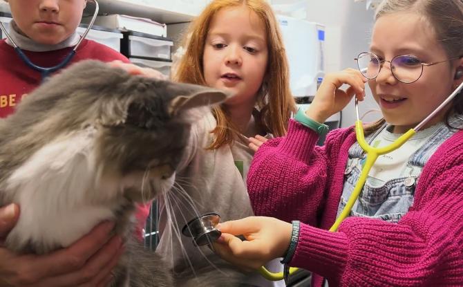 140 petits Gembloutois ont pu tester divers métiers