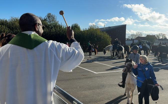 Saint-Hubert à Tourinnes-St-Lambert : les acteurs sensibilisent au bien-être animal