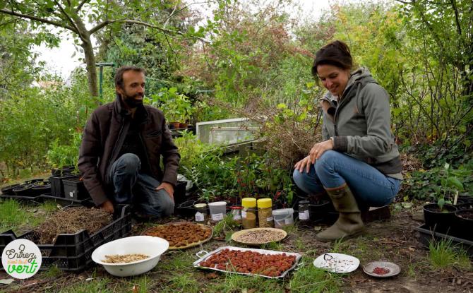 Entrez, c'est tout vert - Focus sur les jardins-forêts