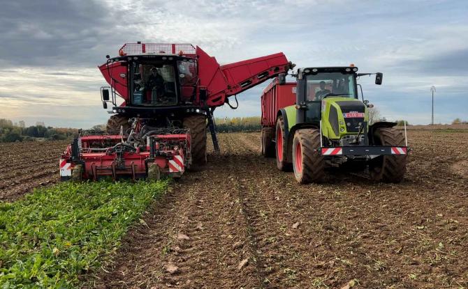 Agriculture : une saison encourageante pour la récolte des betteraves
