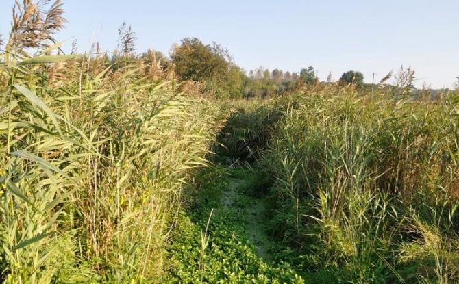 Natagora va gérer les "Sources de la Jette", la plus grande réserve naturelle de Gembloux