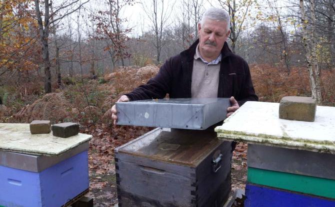 Le miel et les abeilles de l’apiculteur gembloutois Fernand Herbots médaillés