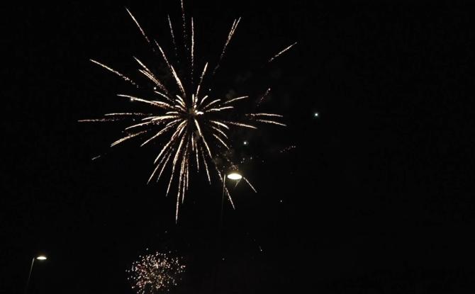 Feux d’artifice : comment protéger les animaux ?