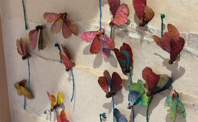 Une exposition pour sensibiliser à notre lien avec la nature à Gembloux