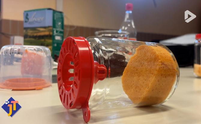 Le JT - Vendredi 6 mars 2026