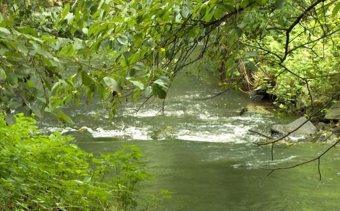 Dyle-Gette : le Contrat de rivière prolongé pour trois ans